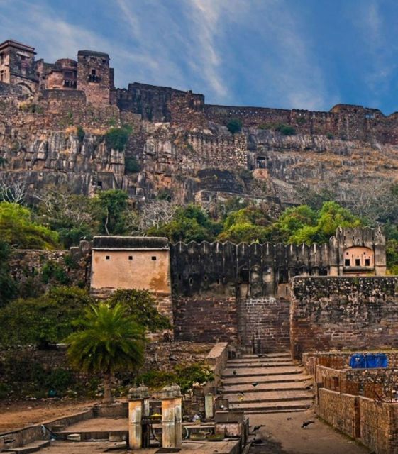 Ranthambore WildLife (tiger safari)Full Day Tour From Jaipur - Ranthambore National Park: why this tiger safari is known for daytime sightings