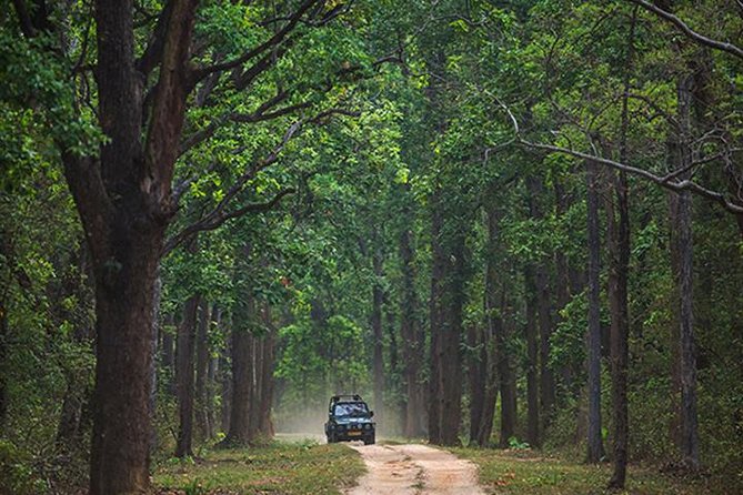 Safari In Jhalana Leopard Conservation Reserve, Jaipur - How the 2.5-hour jeep safari actually runs