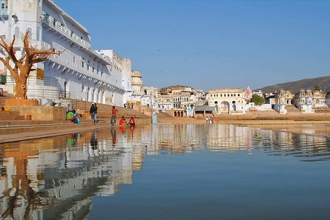 Travel From Jaipur To Jodhpur Via Ajmer And Pushkar - Should you book this Jaipur to Jodhpur via Ajmer and Pushkar transfer?