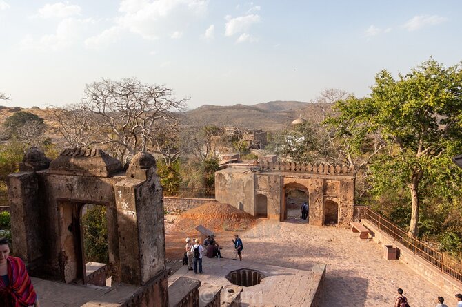 Two Night Safari Experience Ranthambore National Park &Transfers - Your Ranthambore base: choose your own hotel, then go