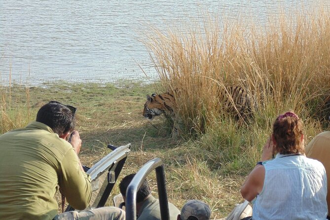 Two Night Safari Experience Ranthambore National Park &Transfers - Chand Baori and Abhaneri: a strong stop before wildlife time