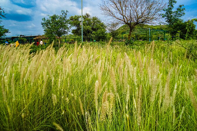 Uncover Hidden Treasures of Rural Life on a Village Tour - Hotel pickup and a private format you can shape