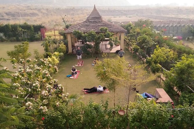 Yoga In Jaipur - Key things to know before you go