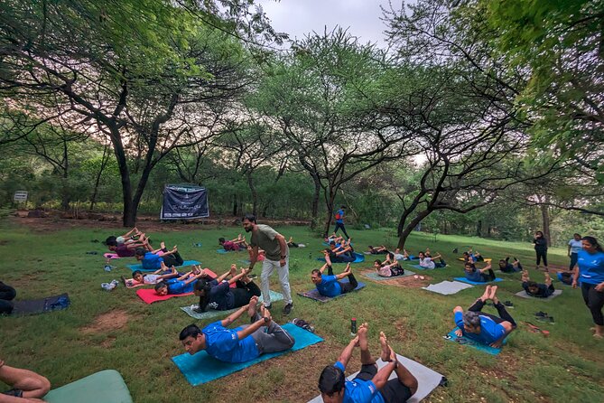 Yoga in Jaipur with Amit (Yogi on Travel) - Who Should Book This Yoga Session (And Who Might Skip It)